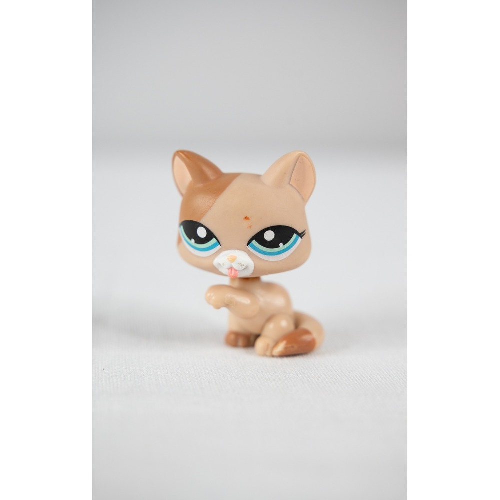 Littlest‎ Pet Shop Cat Figure Tan Brown Good Blue Eyes #1363 Licking Paw LPS
